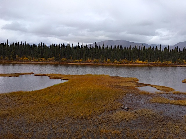 IMG_4747.JPG